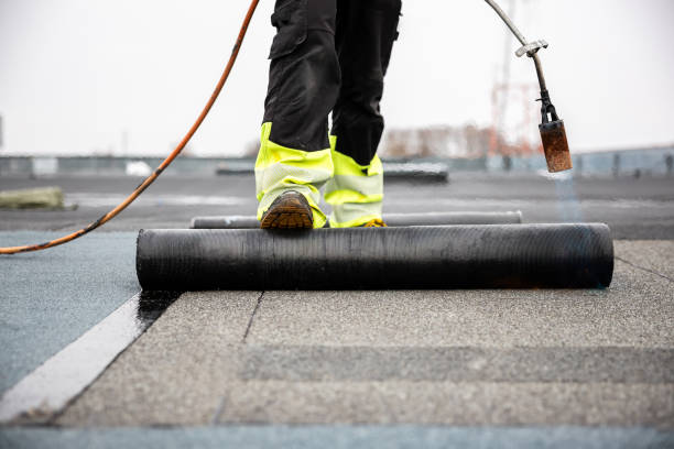 Best Roof Maintenance and Cleaning  in Little Flock, AR
